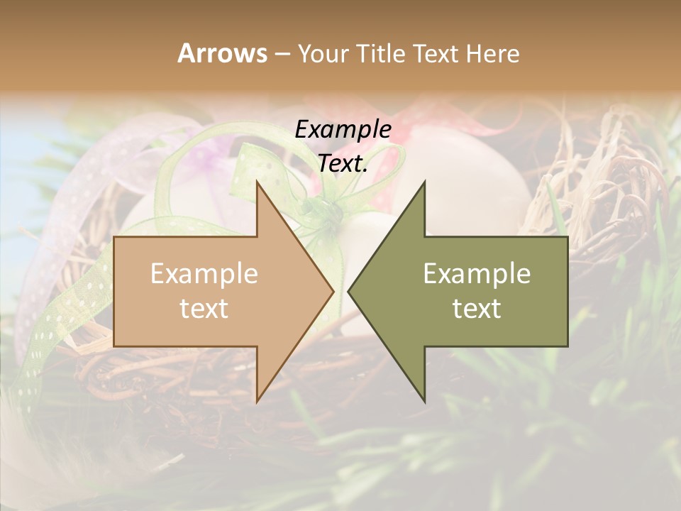 Fresh Closeup Traditional PowerPoint Template