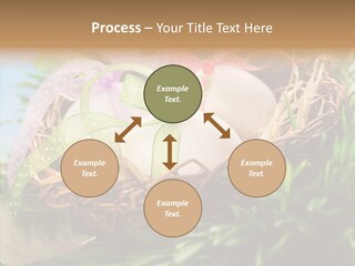 Fresh Closeup Traditional PowerPoint Template