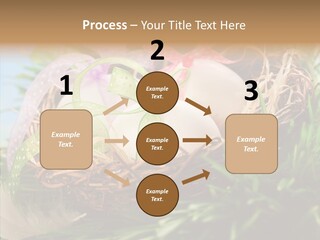Fresh Closeup Traditional PowerPoint Template
