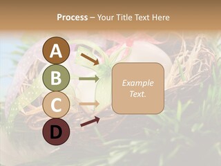 Fresh Closeup Traditional PowerPoint Template