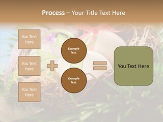 Fresh Closeup Traditional PowerPoint Template