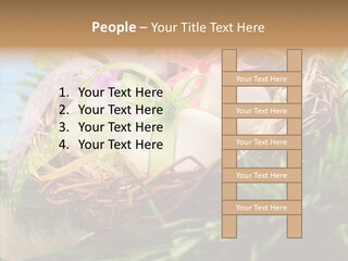 Fresh Closeup Traditional PowerPoint Template