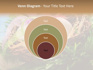 Fresh Closeup Traditional PowerPoint Template
