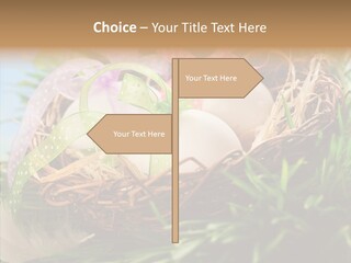 Fresh Closeup Traditional PowerPoint Template