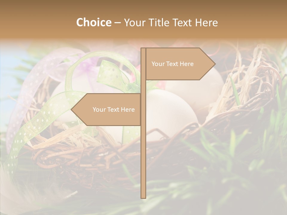 Fresh Closeup Traditional PowerPoint Template