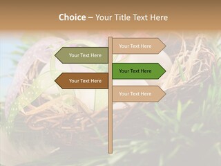 Fresh Closeup Traditional PowerPoint Template