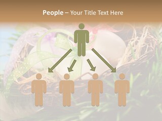 Fresh Closeup Traditional PowerPoint Template