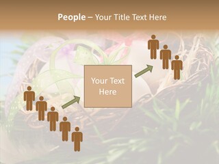 Fresh Closeup Traditional PowerPoint Template