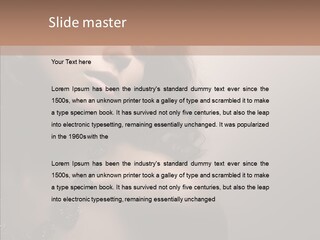 Diamond Attractive Elegance PowerPoint Template