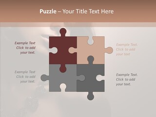Diamond Attractive Elegance PowerPoint Template