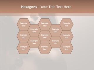 Diamond Attractive Elegance PowerPoint Template
