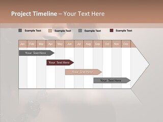 Diamond Attractive Elegance PowerPoint Template
