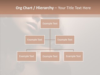 Diamond Attractive Elegance PowerPoint Template