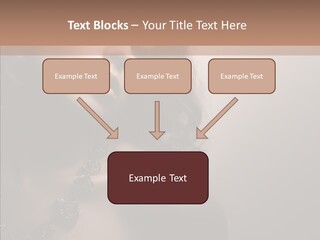 Diamond Attractive Elegance PowerPoint Template