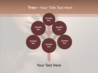 Diamond Attractive Elegance PowerPoint Template