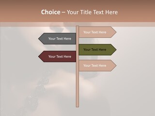 Diamond Attractive Elegance PowerPoint Template
