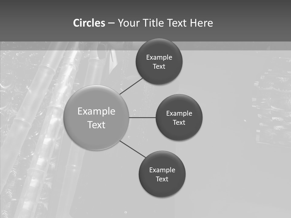 Show Lamp Hair PowerPoint Template