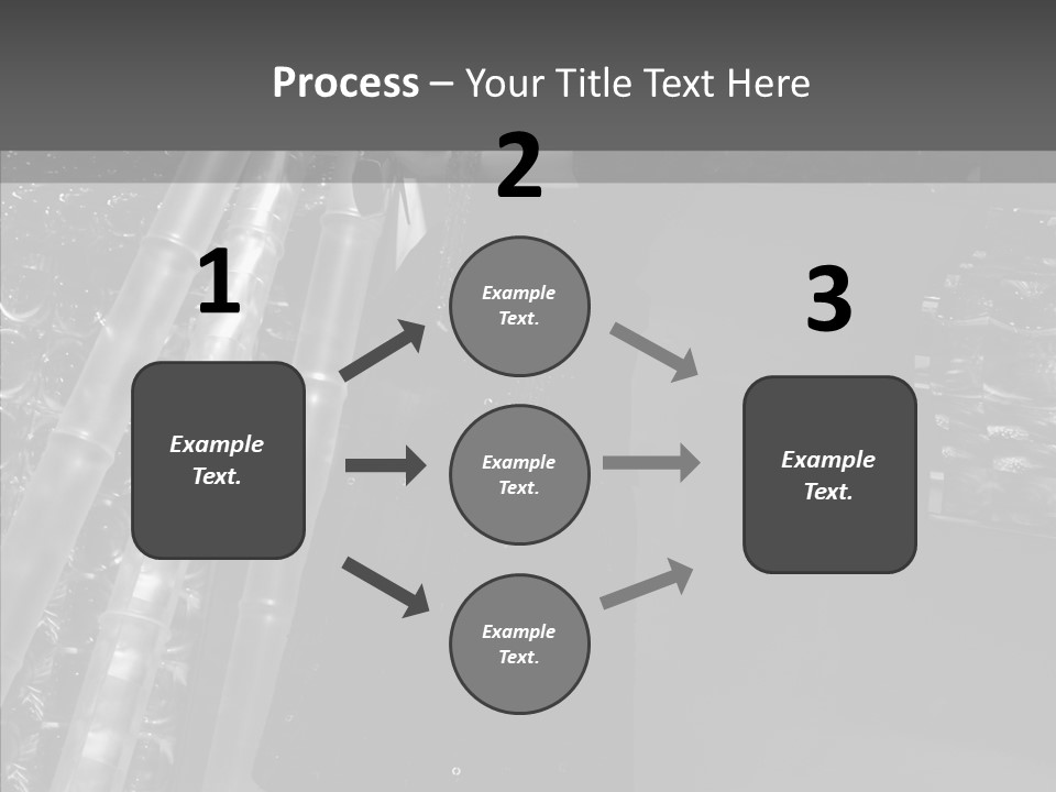Show Lamp Hair PowerPoint Template