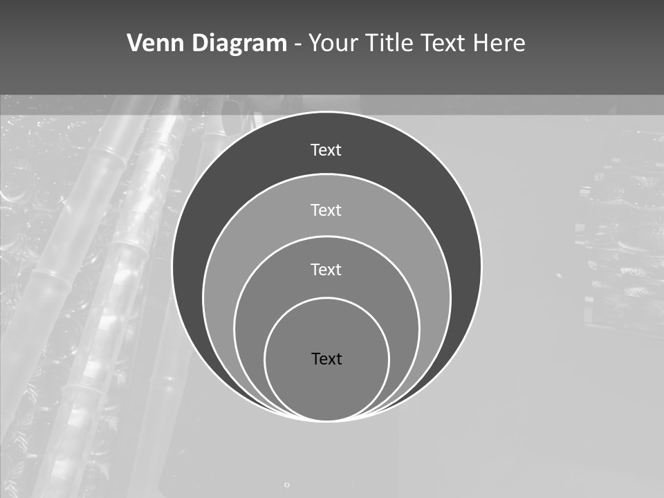 Show Lamp Hair PowerPoint Template
