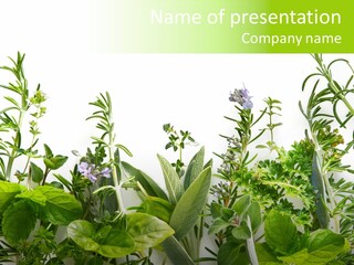 Fresh Arrangement Parsley PowerPoint Template