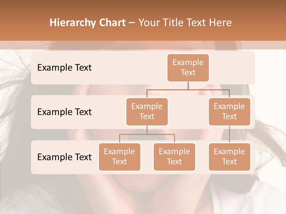 Bu Ine Toon Corporate PowerPoint Template