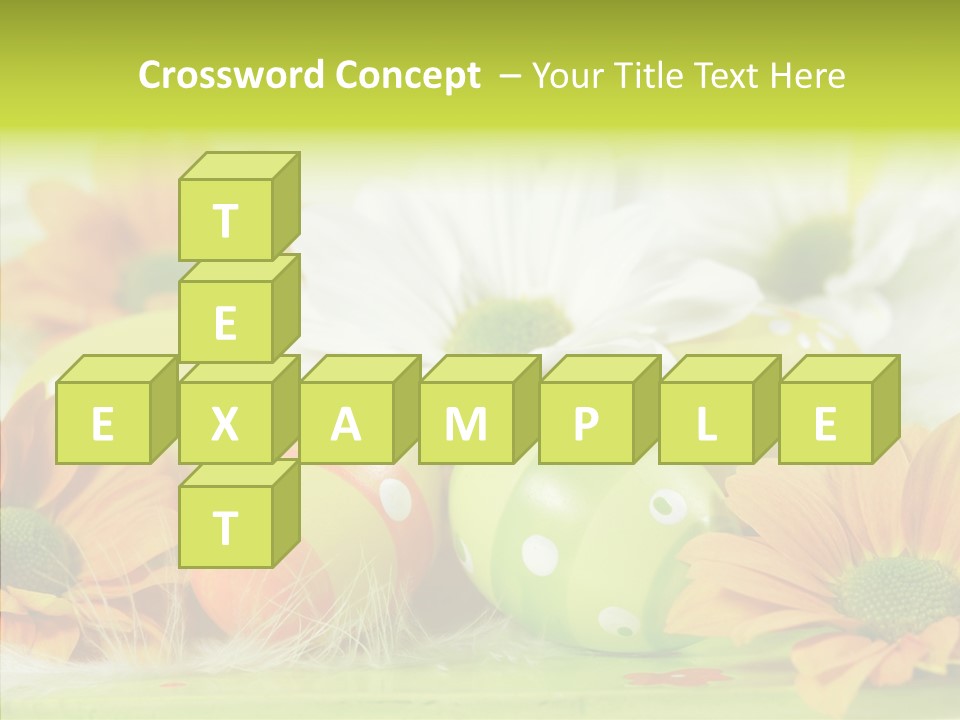 Color Celebration Postcard PowerPoint Template