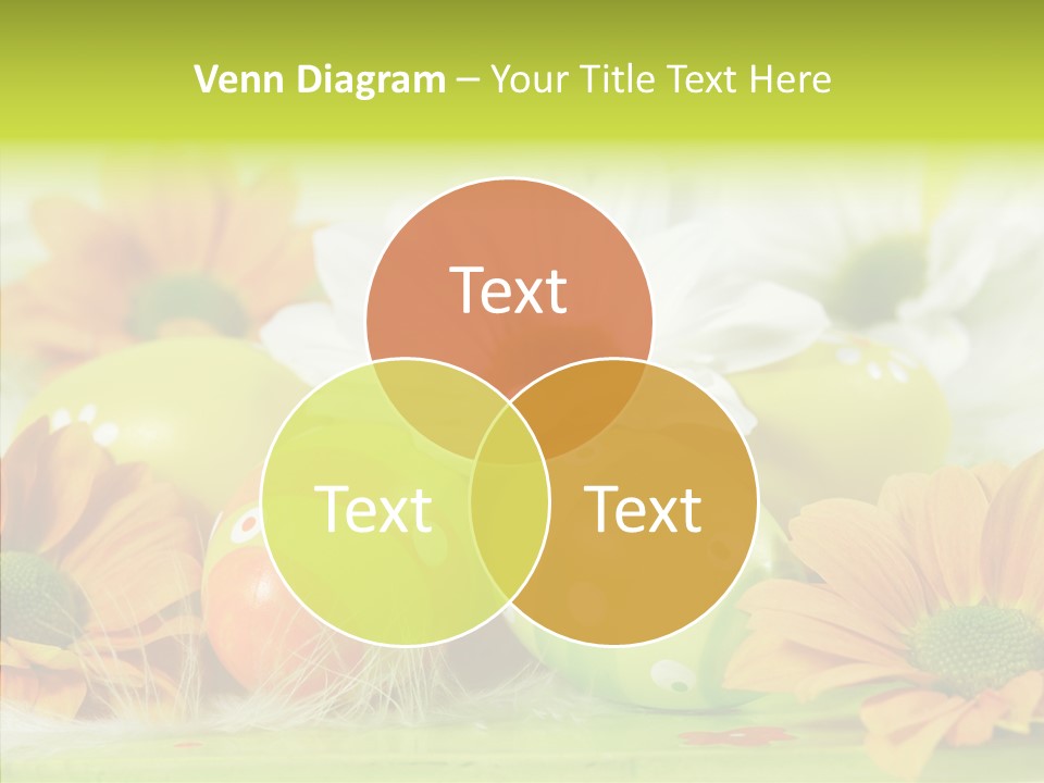 Color Celebration Postcard PowerPoint Template