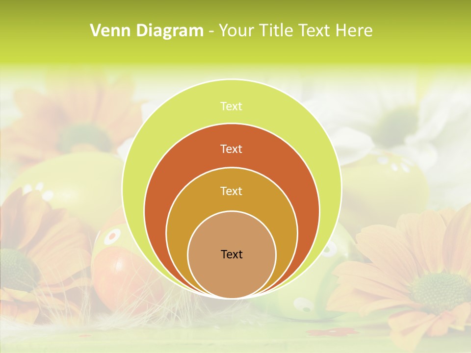 Color Celebration Postcard PowerPoint Template