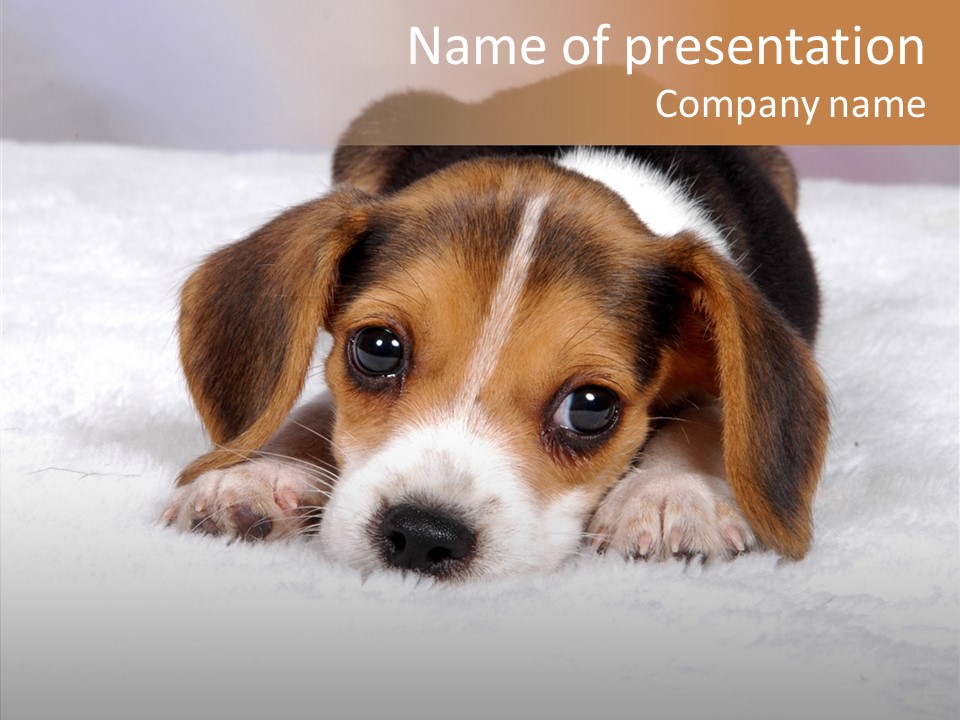 Cute Hunting Pet PowerPoint Template