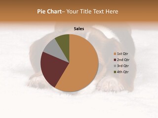 Cute Hunting Pet PowerPoint Template
