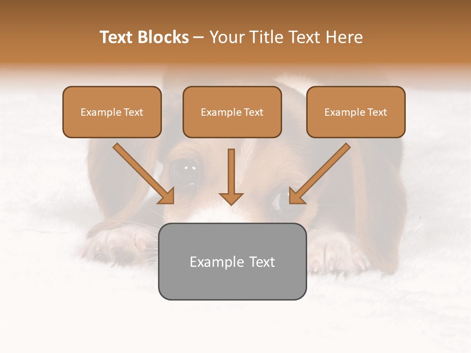 Cute Hunting Pet PowerPoint Template