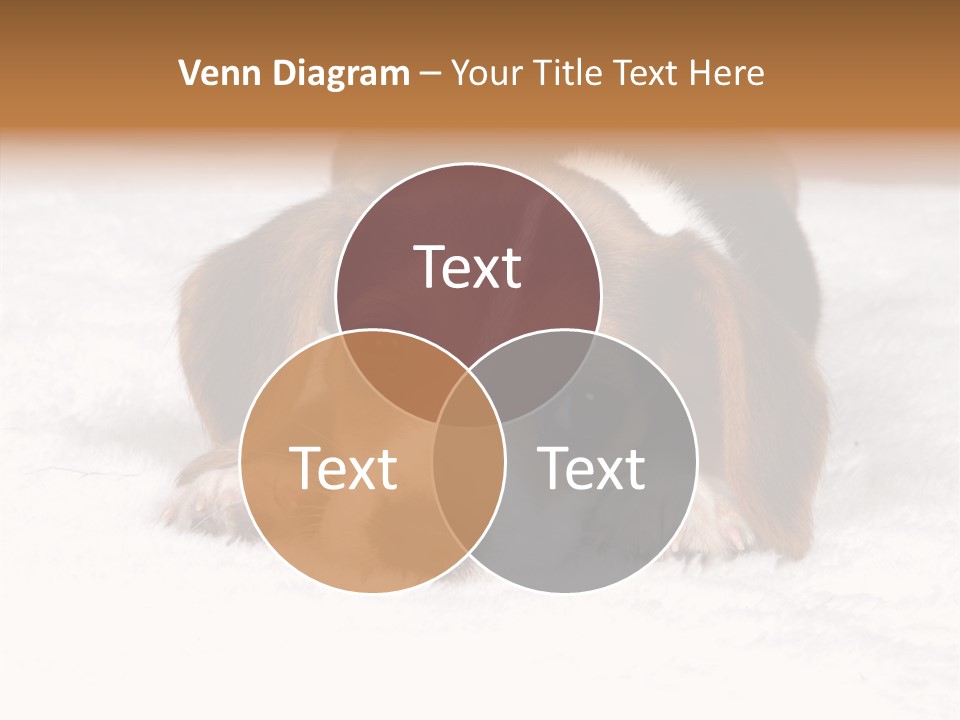 Cute Hunting Pet PowerPoint Template