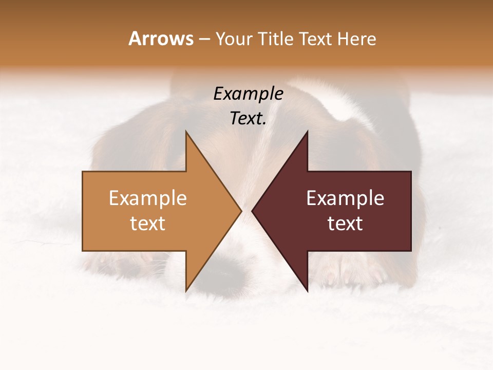 Cute Hunting Pet PowerPoint Template