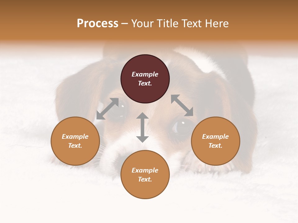 Cute Hunting Pet PowerPoint Template