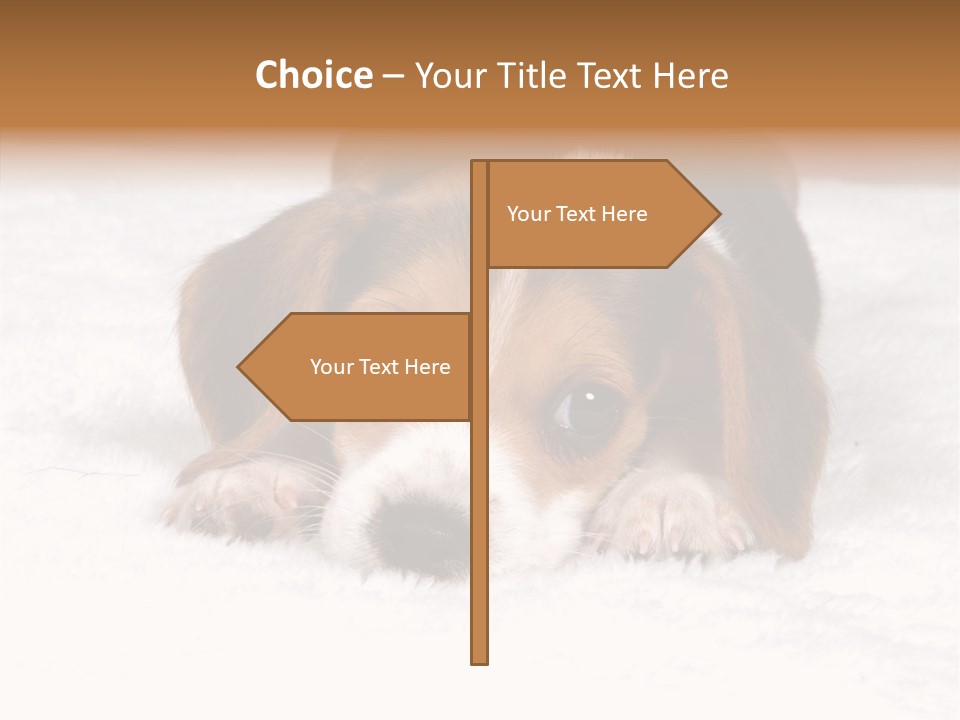 Cute Hunting Pet PowerPoint Template
