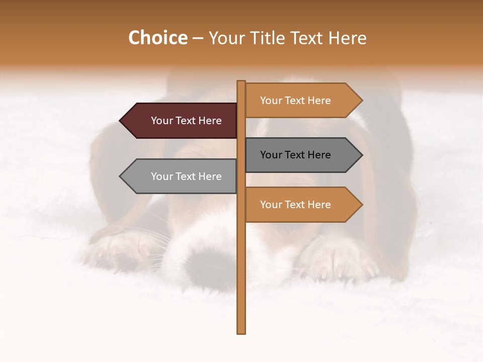 Cute Hunting Pet PowerPoint Template