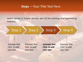 Organic Backgrounds Pastry PowerPoint Template