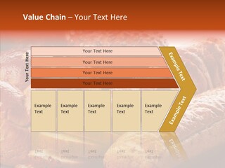 Organic Backgrounds Pastry PowerPoint Template