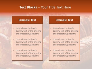 Organic Backgrounds Pastry PowerPoint Template