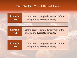 Organic Backgrounds Pastry PowerPoint Template