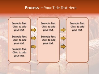 Organic Backgrounds Pastry PowerPoint Template