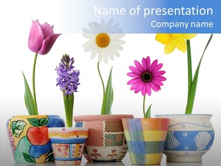 Natural Container Tulip PowerPoint Template