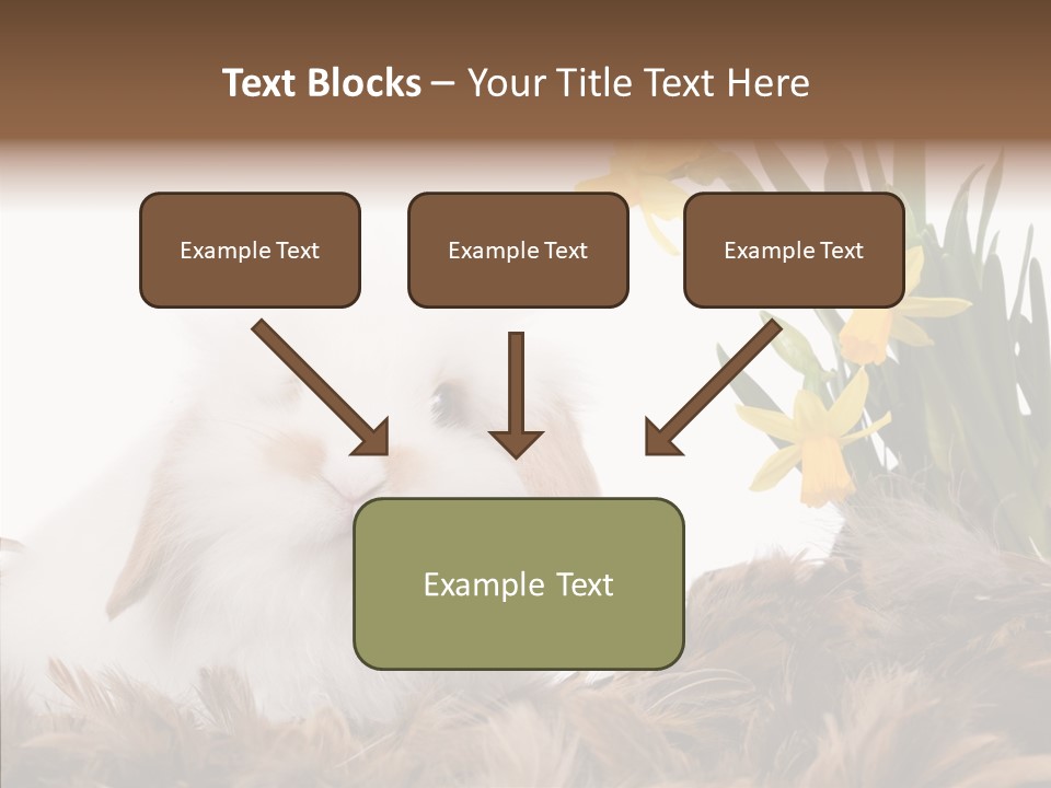 Pepper Pork Knife PowerPoint Template