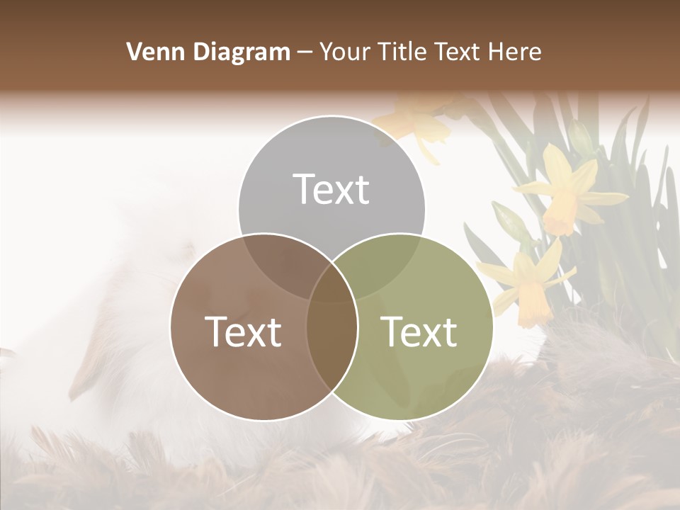 Pepper Pork Knife PowerPoint Template