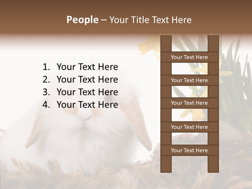 Pepper Pork Knife PowerPoint Template