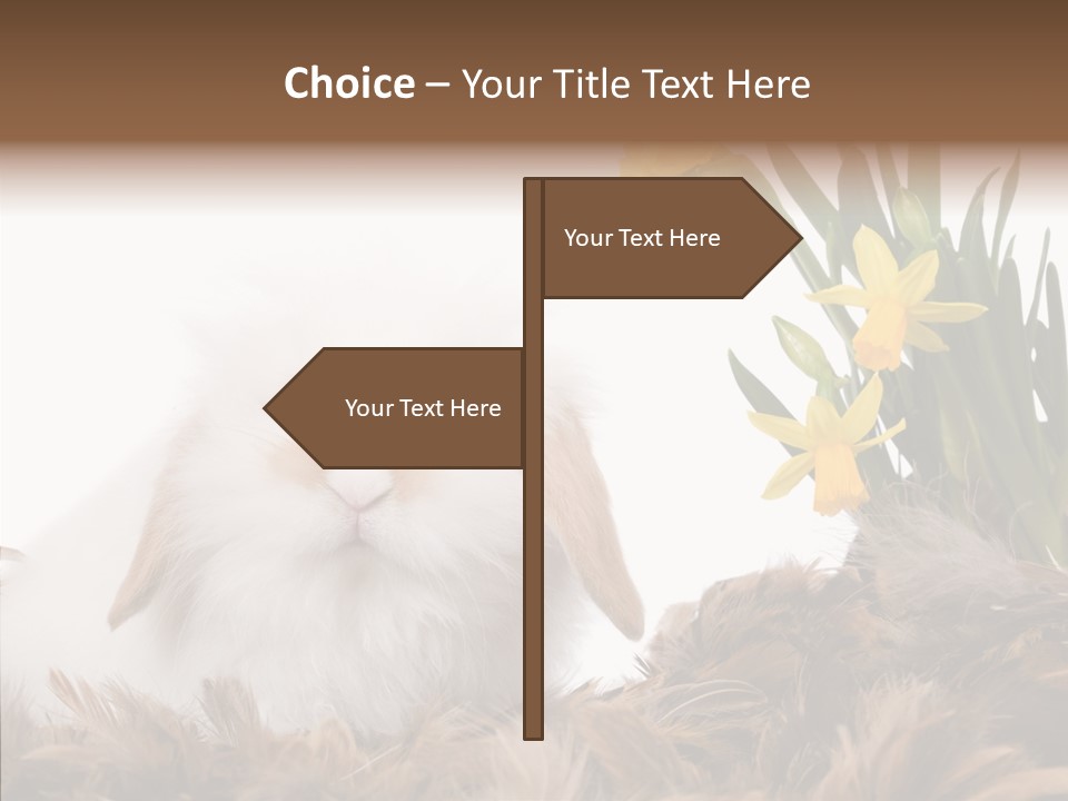 Pepper Pork Knife PowerPoint Template