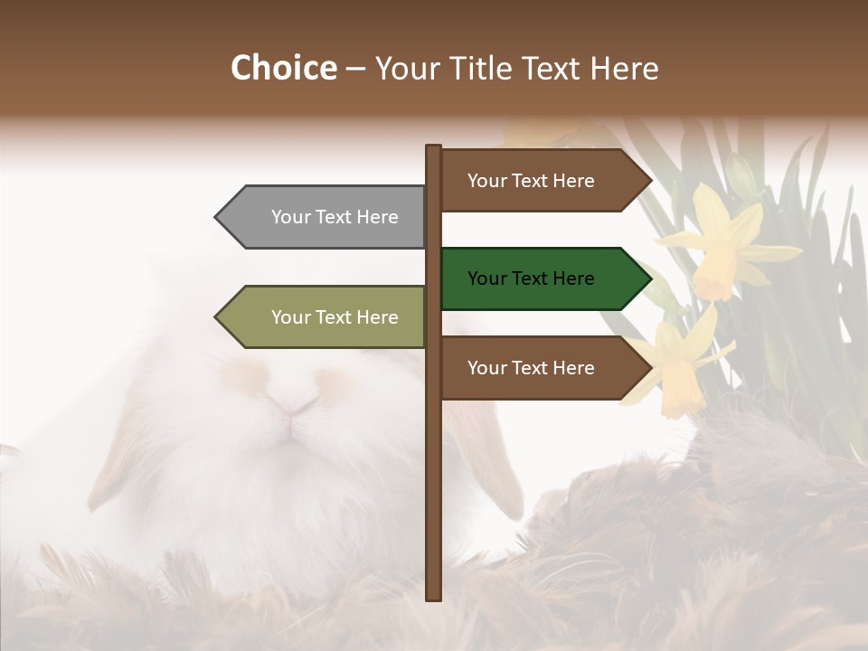 Pepper Pork Knife PowerPoint Template