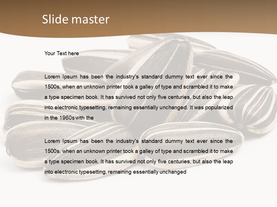 Closeup White Studio PowerPoint Template