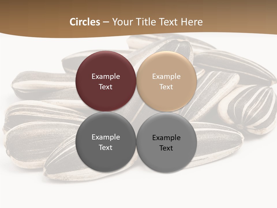 Closeup White Studio PowerPoint Template