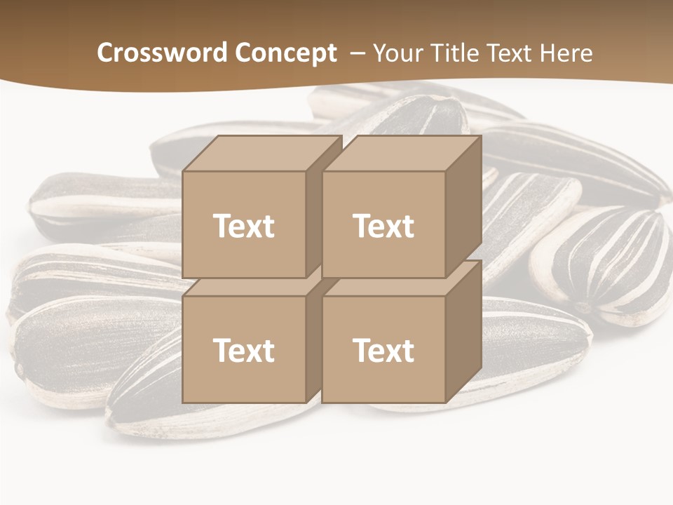 Closeup White Studio PowerPoint Template